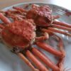 石川県・金沢市のカニ食べ放題まとめ6選【日帰りOKやランチ・ホテルも】 | TSグルメ（