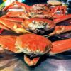 新潟県のカニ食べ放題まとめ7選【ランチや日帰りOK・安い店も】 | TSグルメ（デカ盛り