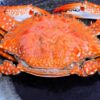 福井県のカニ食べ放題まとめ7選！ランチや日帰り・ホテルも | TSグルメ（デカ盛り・食