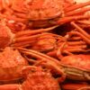 東京のおすすめカニ食べ放題まとめ16選！ランチや4000円台の安い店も | TSグルメ（デ