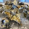札幌市の牡蠣食べ放題まとめ8選【ランチや生牡蠣・安い店も】 | TSグルメ（デカ盛り・